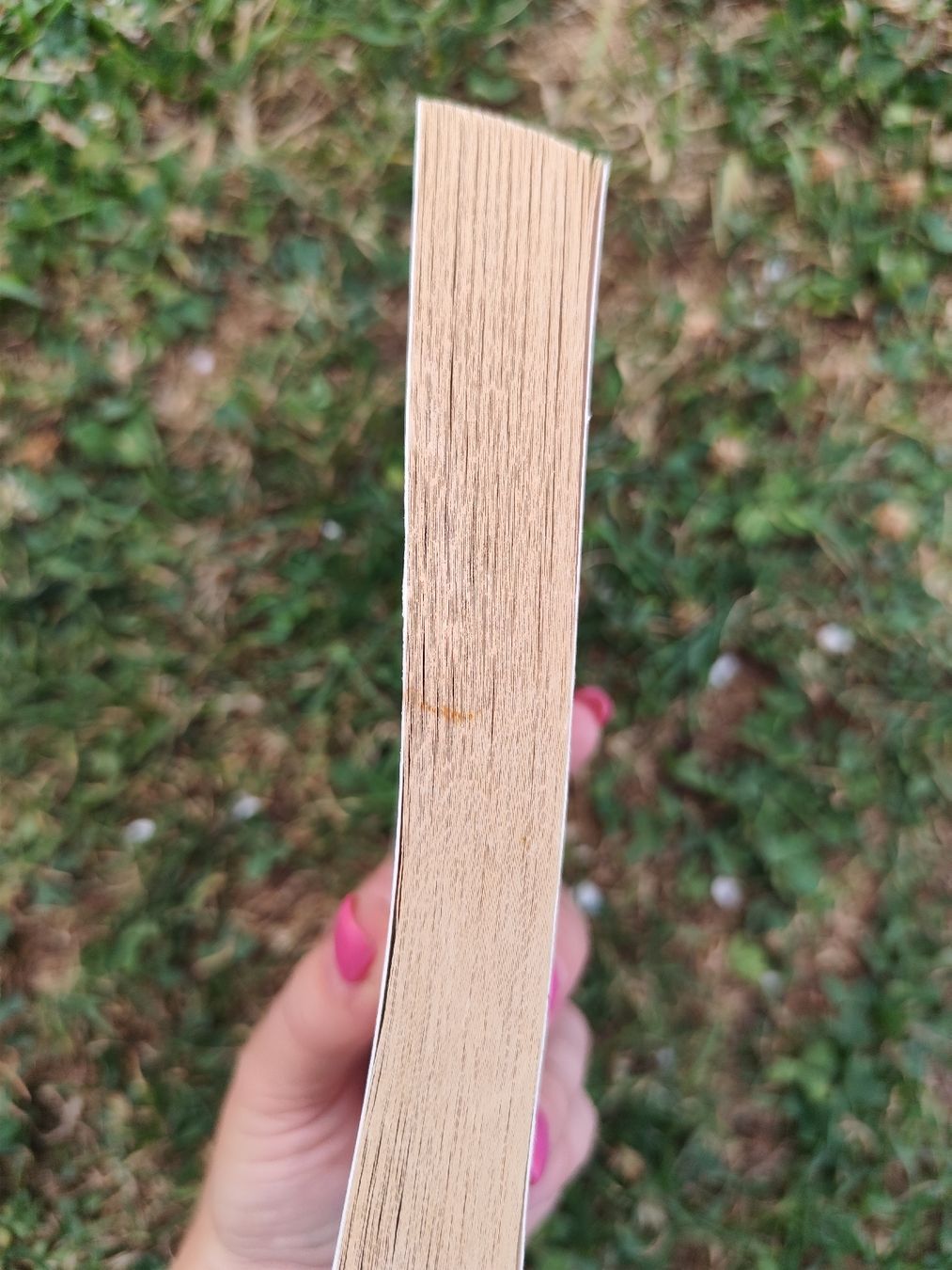 Libri: Nicholas Sparks A Walk to Remember paperback used condition – Usato da Mägenwil venduto da VintageGirly 8