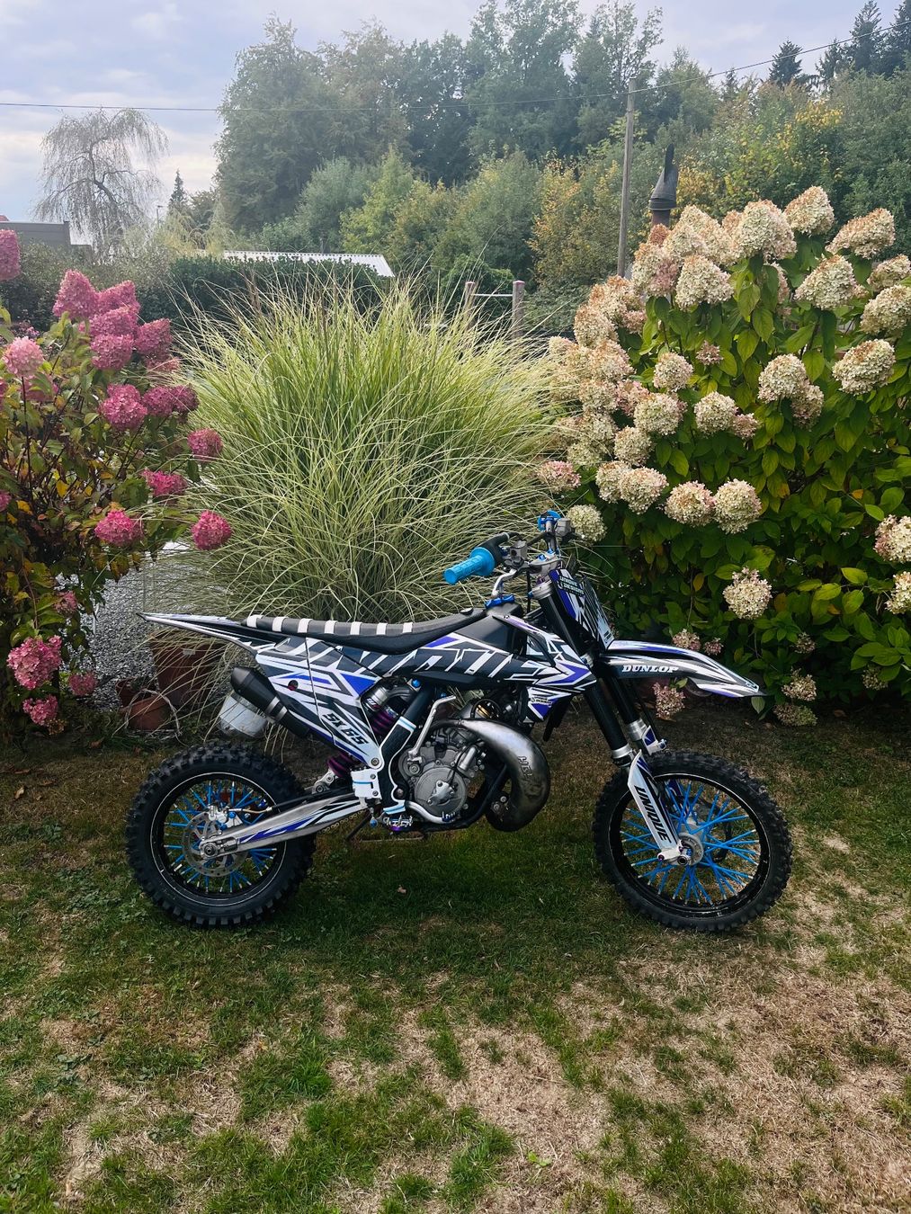 KTM Enduro: KTM SX 65 – Usato da Safenwil venduto da rom_ct95 1