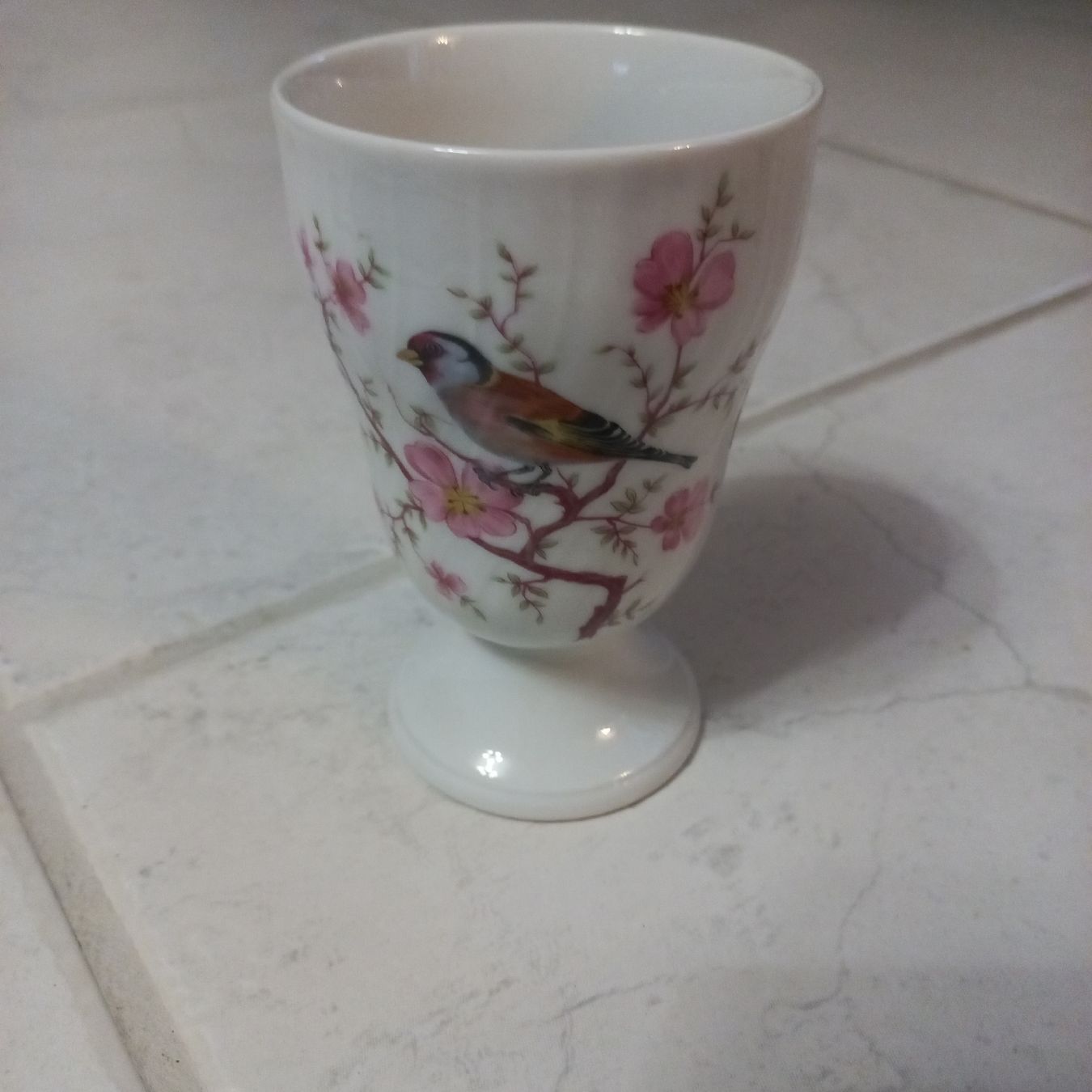 Tazze: Tasse mit Vogelmotiv. – Usato da Gossau ZH venduto da jak_8pdw