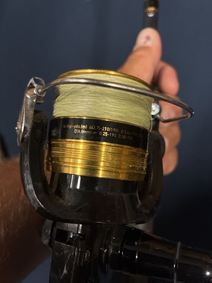 Daiwa Canne da pesca: Daiwa Angelrute inkl. Rolle – Usato da Balgach venduto da Organisator 4