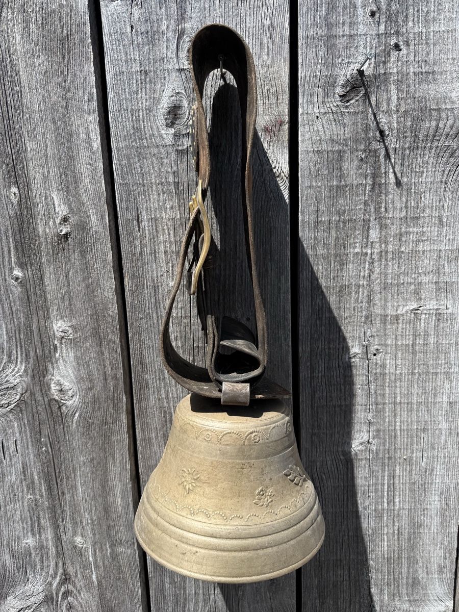 Campanacci mucche: Schöne Glocke, Peter Berger Bärau – Usato da Sargans venduto da foxtrading 3
