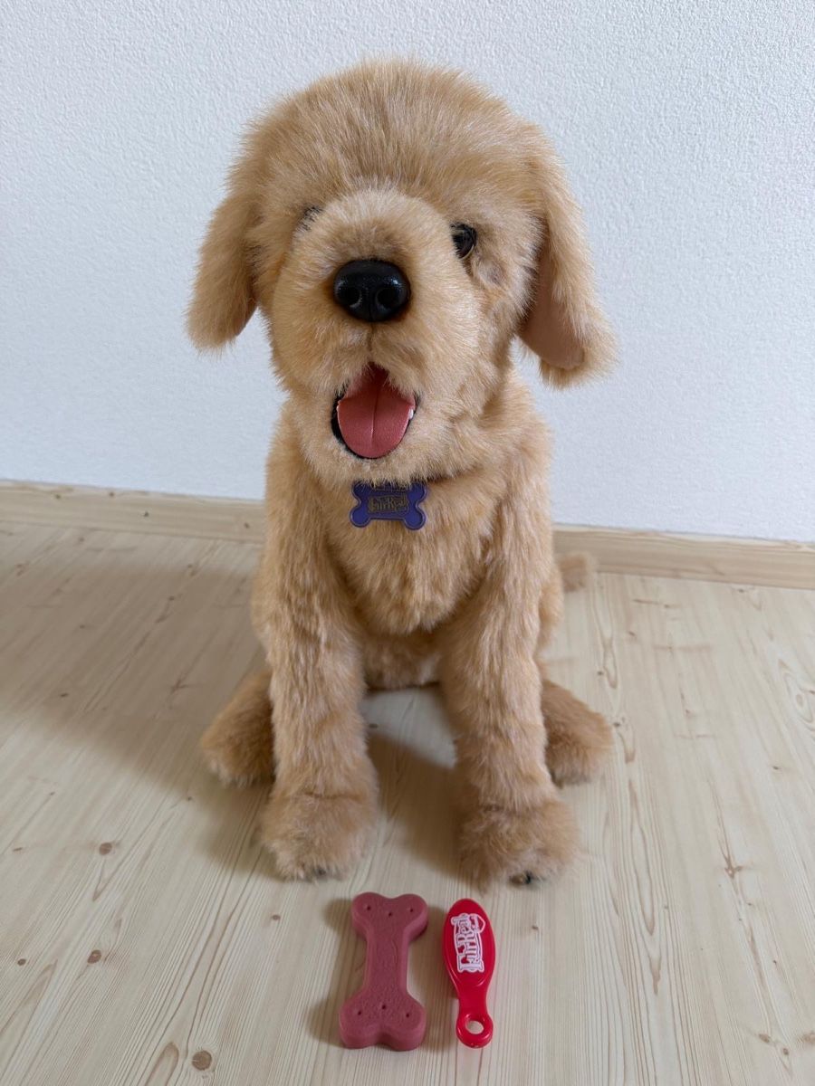 FurReal Giocattoli: FurReal Friends Hund Biscuit – Usato da Beinwil (Freiamt) venduto da Zpower