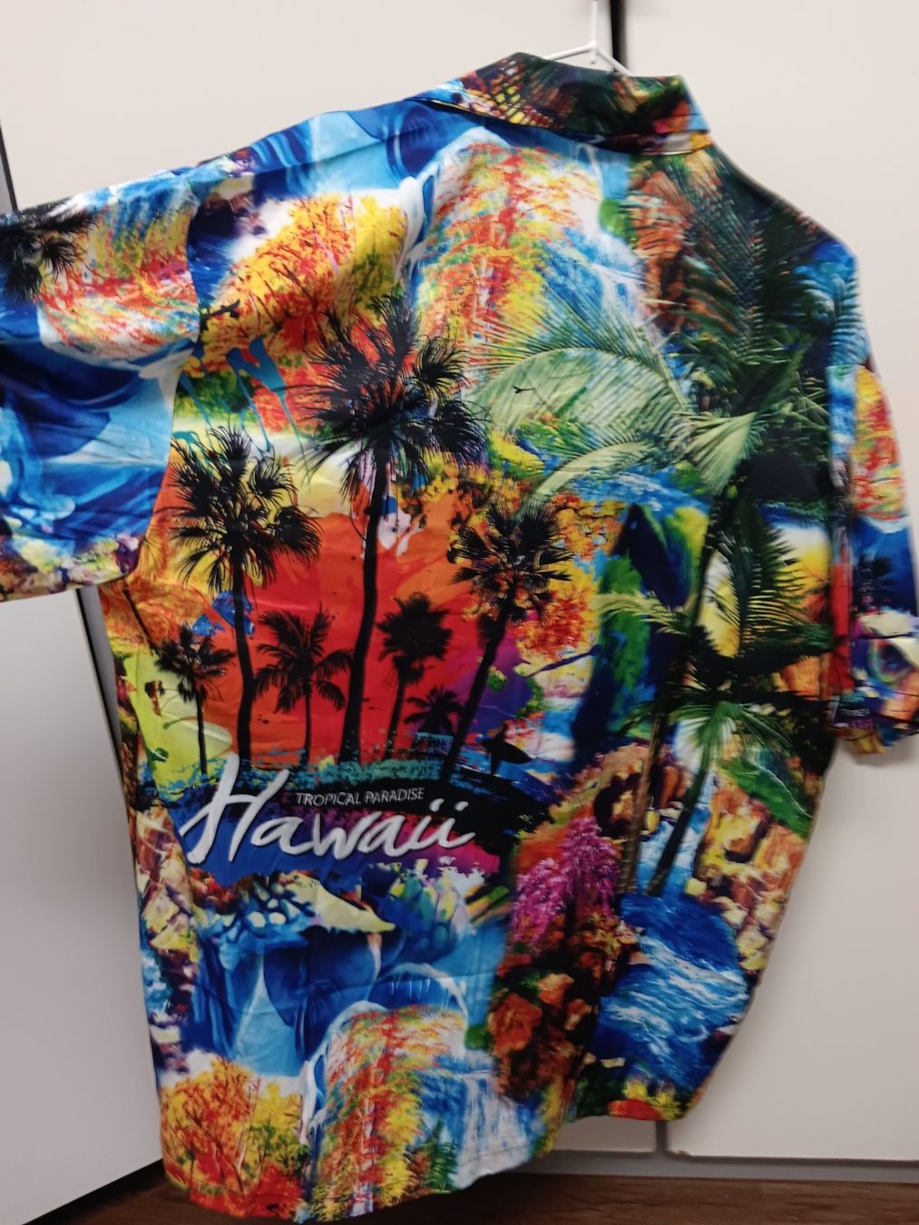 Chemises: Hawai Hemd – Neuf (Voir description) à Büsingen par Flohminator 4