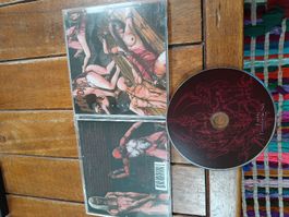 lividity- fetish...+live.. 