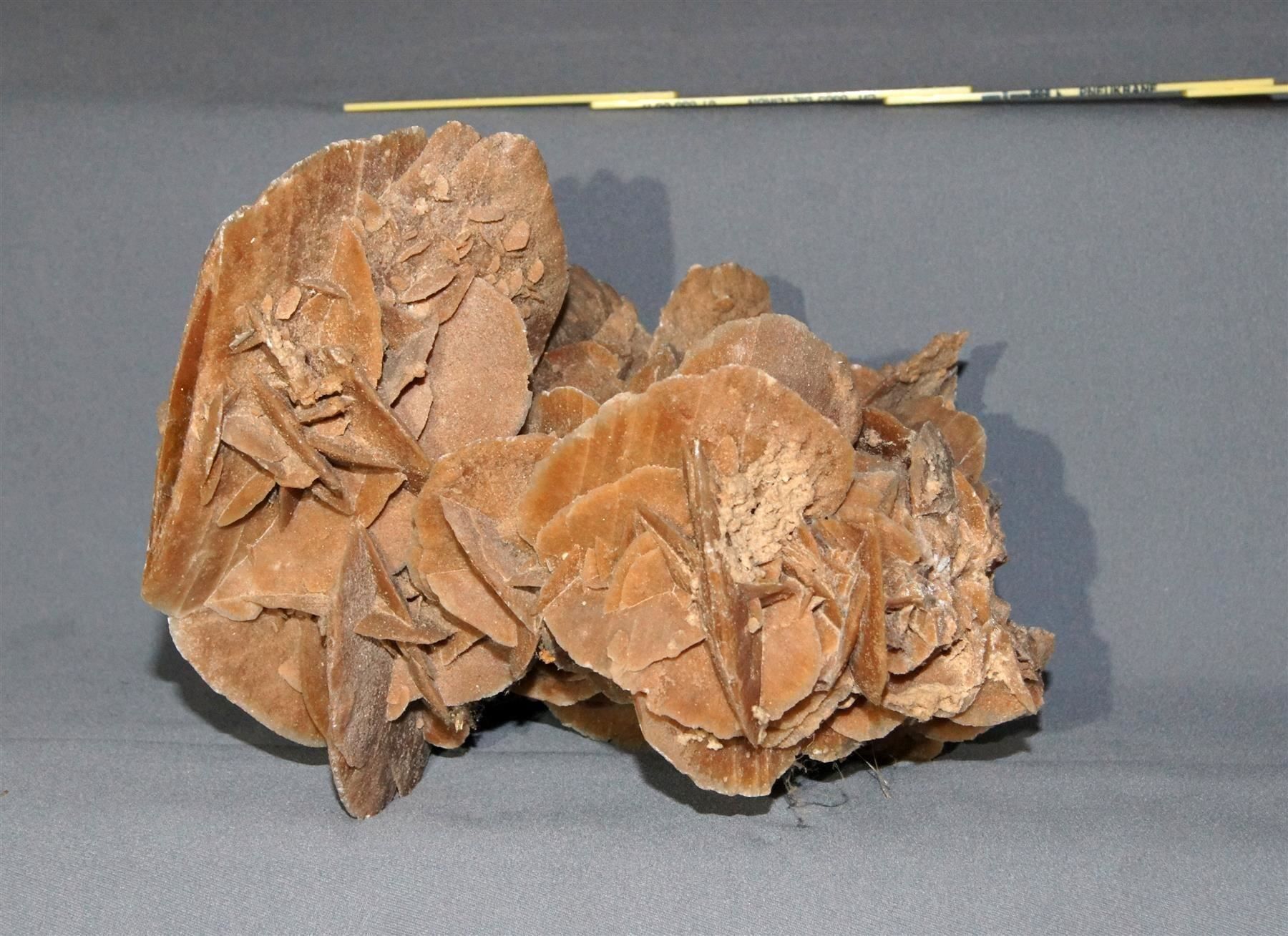 Mineralien & Heilsteine: Beeindruckende, grosse Sandrose – Gebraucht aus Geroldswil von ARTEFACTO 6