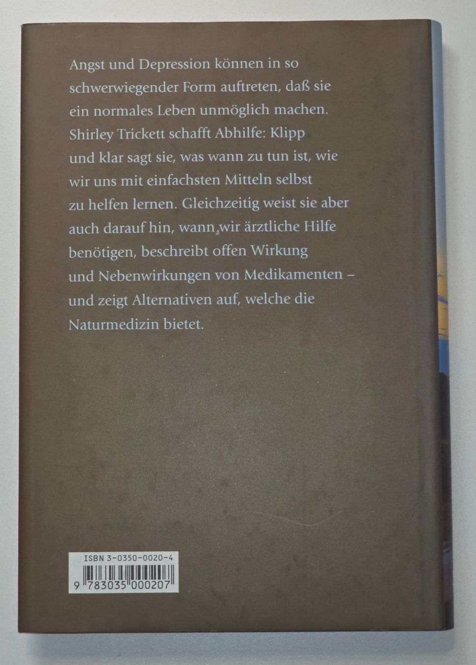 Libri: WIEDER ANGSTFREI LEBEN Selbsthilfe Panikattacken Depression – Nuovo (secondo la descrizione) da Dürnten venduto da Bachtelrider_ 2