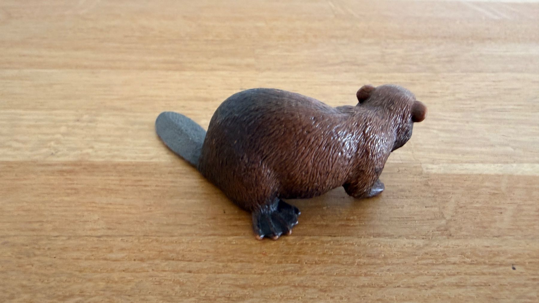 Schleich Giocattoli: SCHLEICH - Biber 14693 – Usato da Winterthur venduto da Secondhand-Family 2