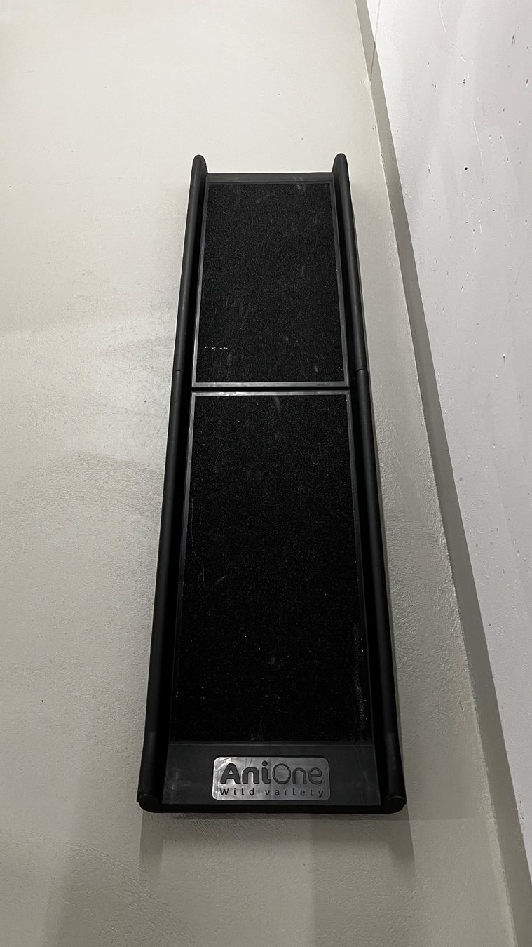 Gabbie, trasporto & Sicurezza: AniOne Hunde Rampe fürs Auto – Usato da Felben - Wellhausen venduto da Auto-Hub 1