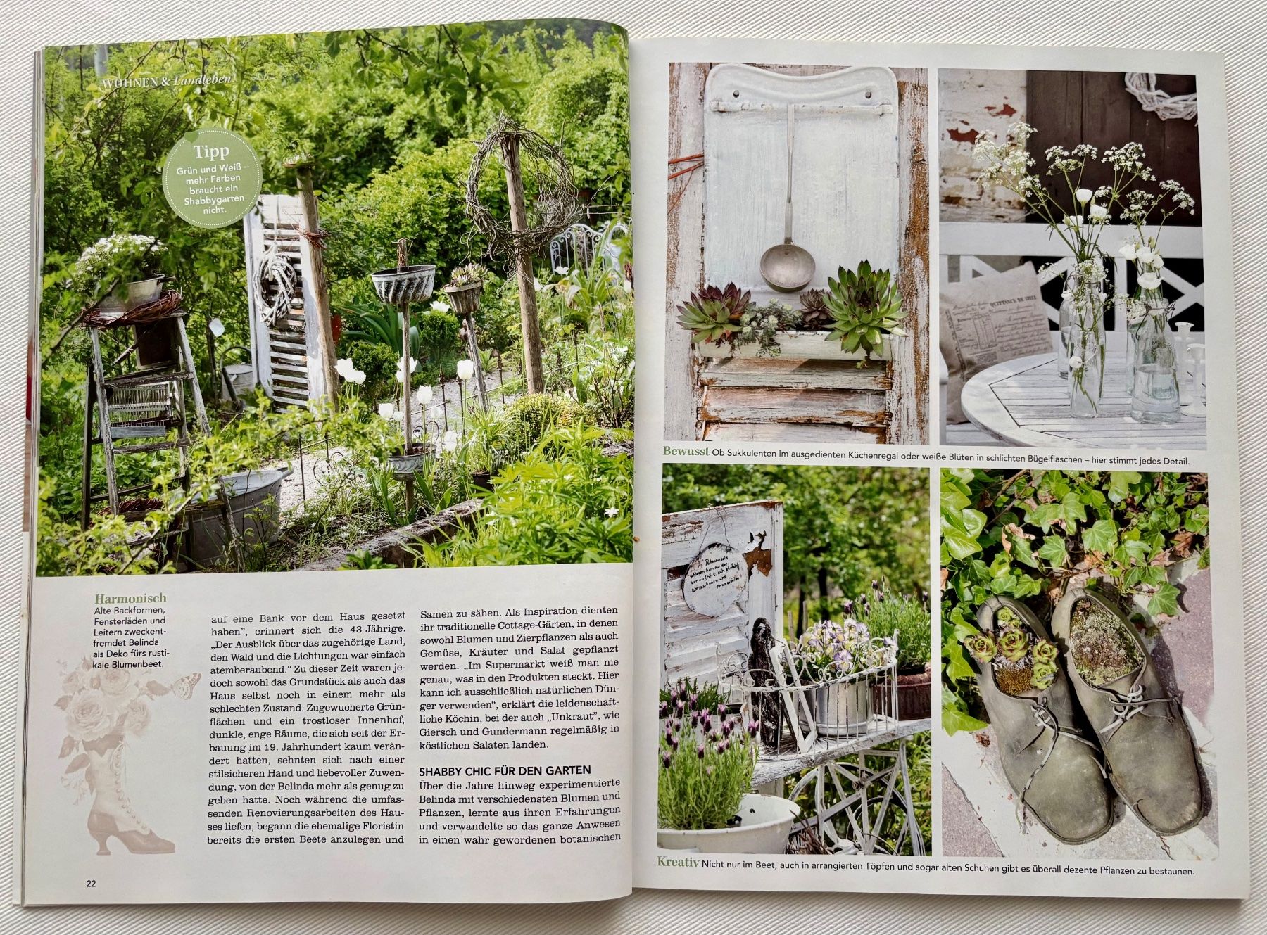 🤍 Zeitschrift „Land Leben“ Nr. 4/2019, Juli/August 2019 🤍 (Gebraucht