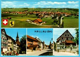 Hallau 1976