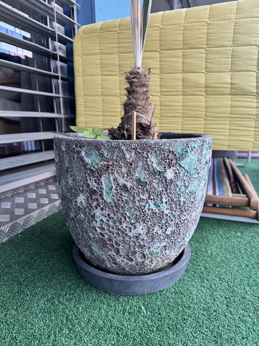 Coop Vasi per fiori: Pflanzentopf grau blau H: 31cm B: 35cm  – Usato da Zürich venduto da gosia_z 1