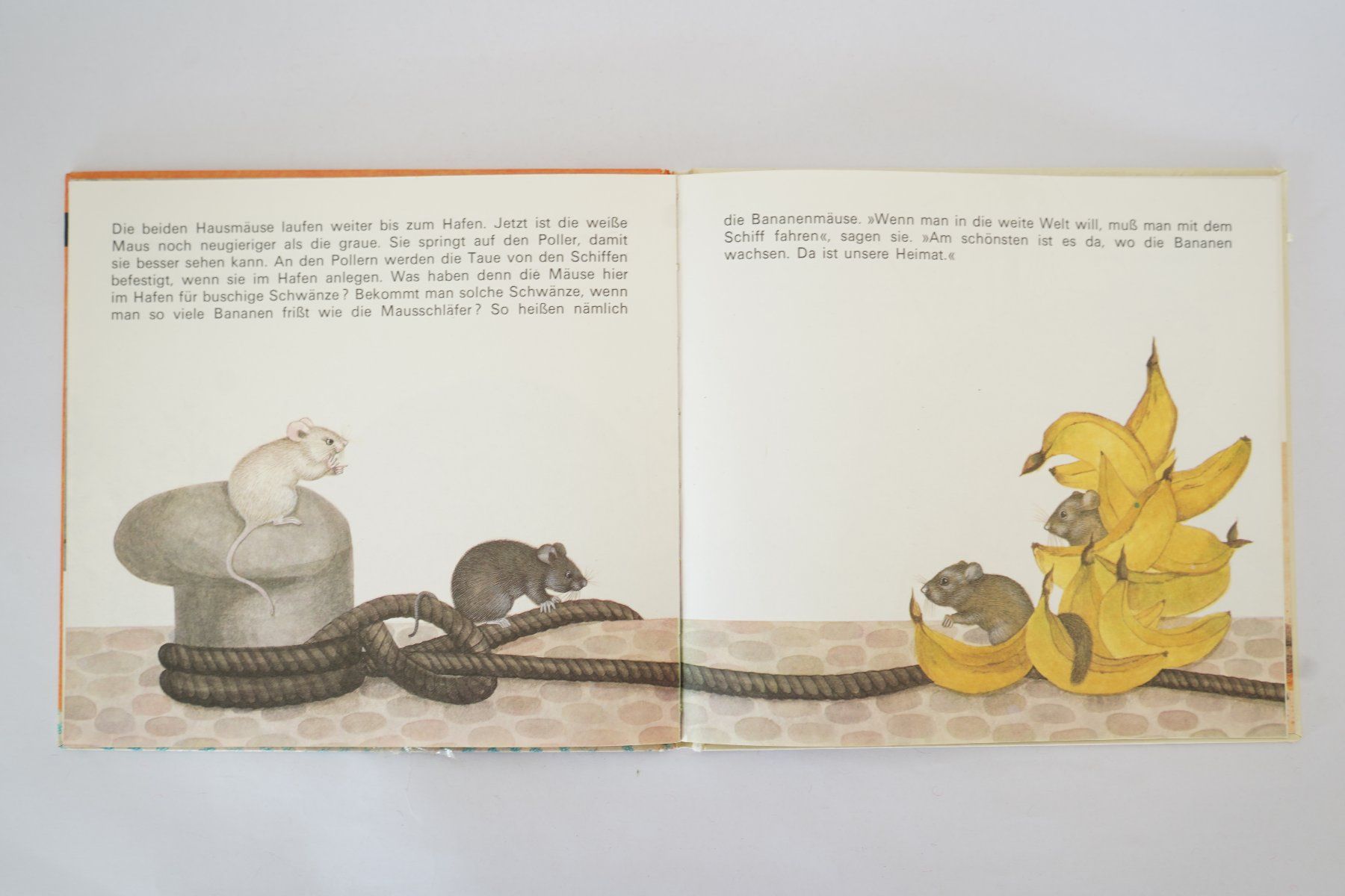 Libri: Die Mäuse – Usato da Ebikon venduto da lin_jr8x 1