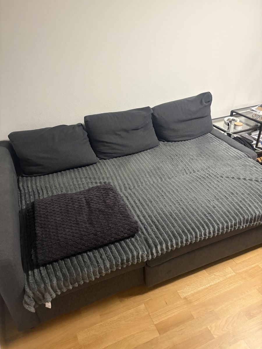 Ikea Divani: Bettsofa / schlafsofa – Usato da Zürich venduto da sab_qv7f