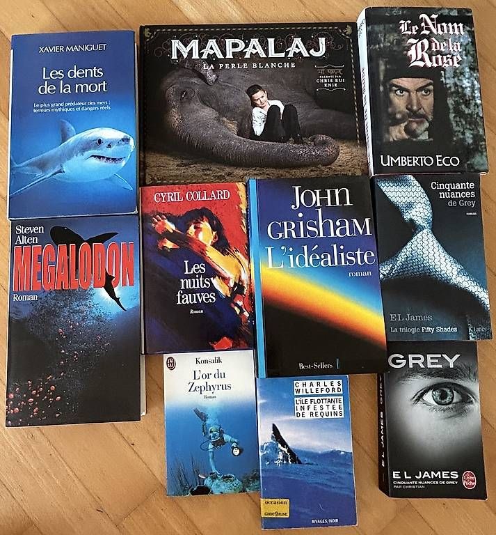 Bücher: Lot de 5-6, Divers romans  – Gebraucht aus Avry-sur-Matran von aur_c2nb 1