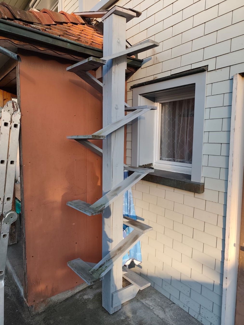 Scale: Katzen-Leiter. Abholung in Neukirch Eganch – Usato da Amriswil venduto da ron_rb2m 1