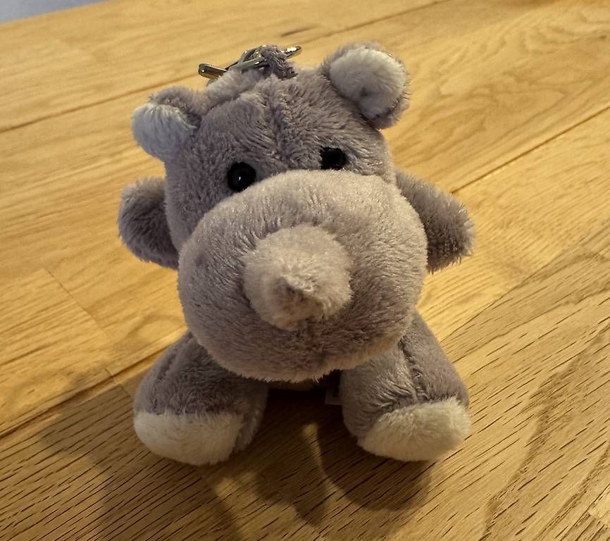 Portachiavi: Anhänger Nashorn – Usato da Kriessern venduto da c_n1