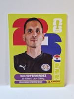 Panini Sticker Roberto Fernandez Paraguay PAR 2