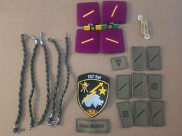 Konvolut Schweizer Armee Badge /Ribbon/ Abzeichen etc.