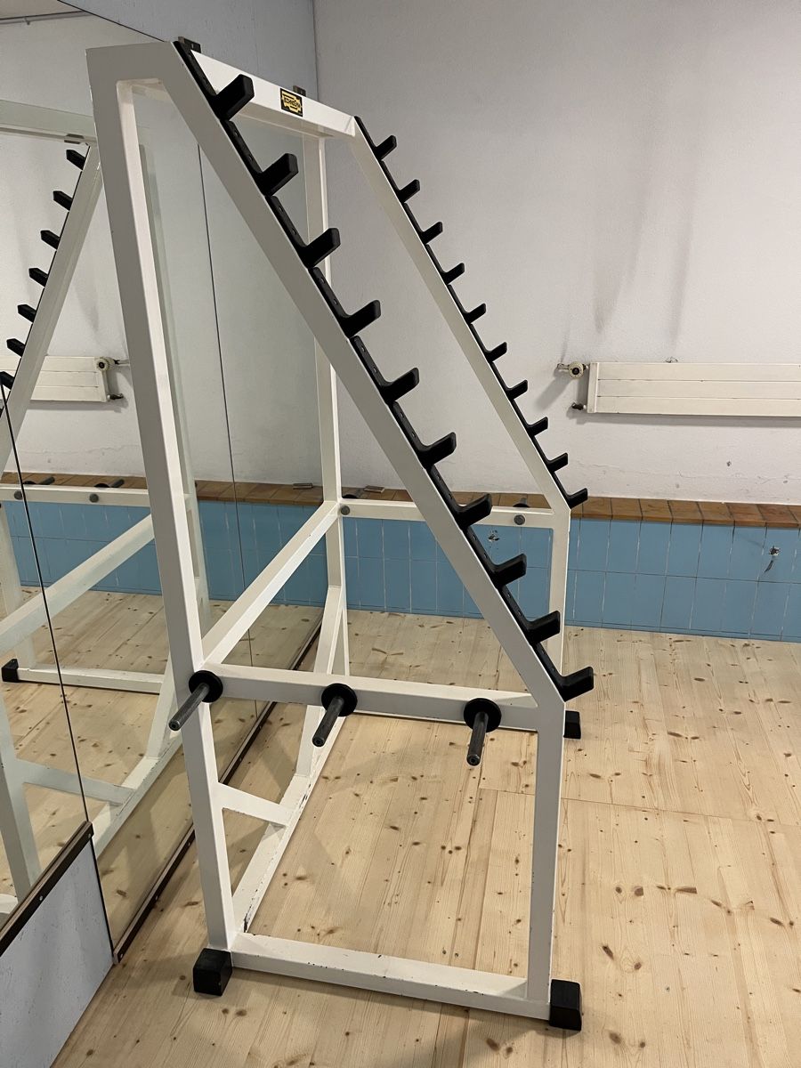 Technogym Hometrainer: Technogym Multi Rack / Power Rack / Kniebeugen – Usato da Kirchberg BE venduto da psmr 1