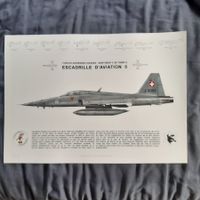 Staffelprint Fliegerstaffel 6 Tiger F-5 E Schweizer Luftwaff