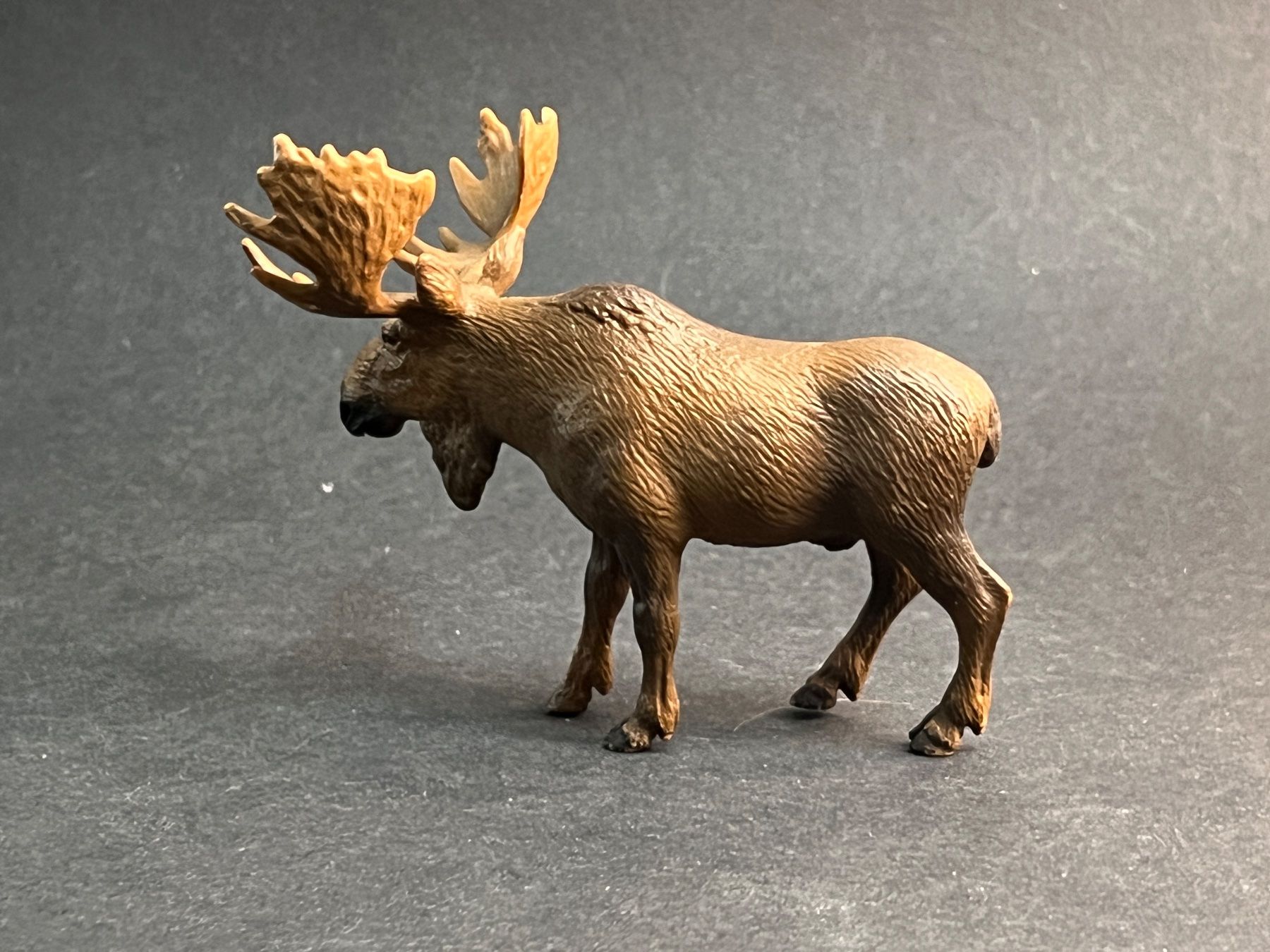 Schleich Figuren: Schleich 14619 - Wild Life, Elch Bulle – Gebraucht aus Ennetbaden von mapa05 4