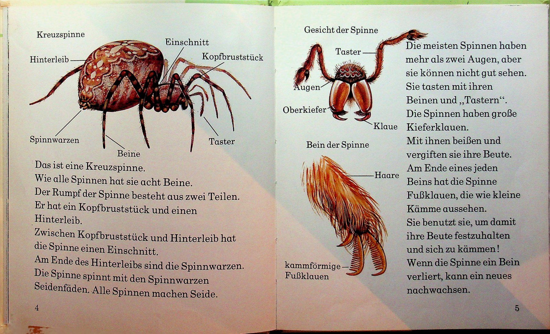 Libri: Spinnen   Brönner Kinderbücher 1972 – Usato da Reitnau venduto da Zaomir 5