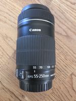Canon Objektiv EF-S 55-250mm