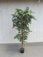 Schöne künstliche Ficus-Baum-Dekoration für Ihr Zuhause