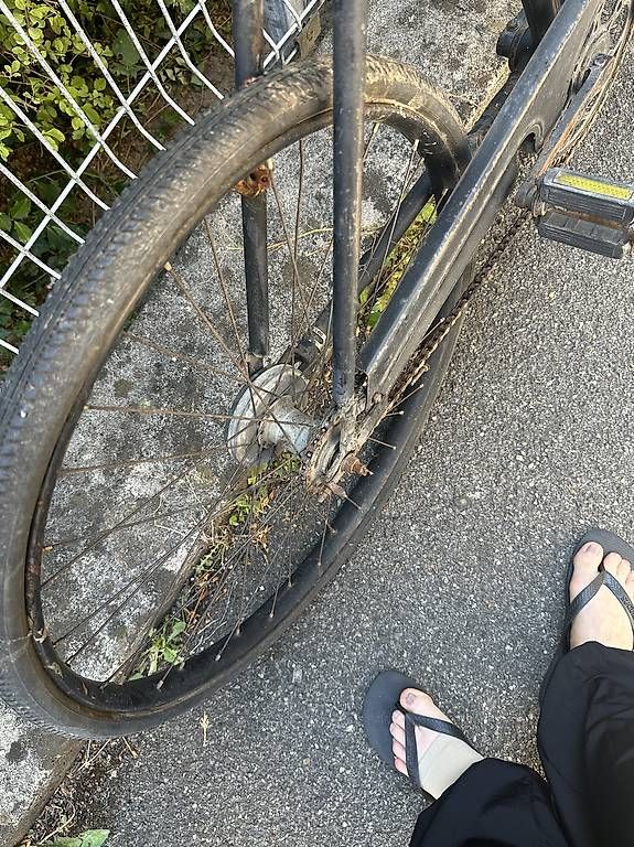 Vélos: condor velo – D'occasion à Wil SG par GabiHiestand 2