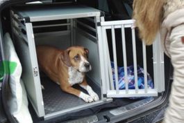 Hundetransportbox Aluminium Grösse M von Pet Homes