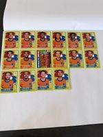 Panini WM 2026 - Niederlande Set 16 Stk inkl. Teambild