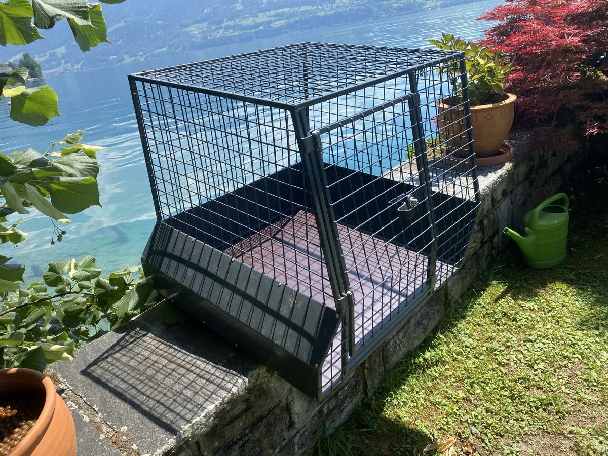 Gabbie, trasporto & Sicurezza: Hundebox Autobox Metall stabil – Usato da Merligen venduto da shalimar64 3
