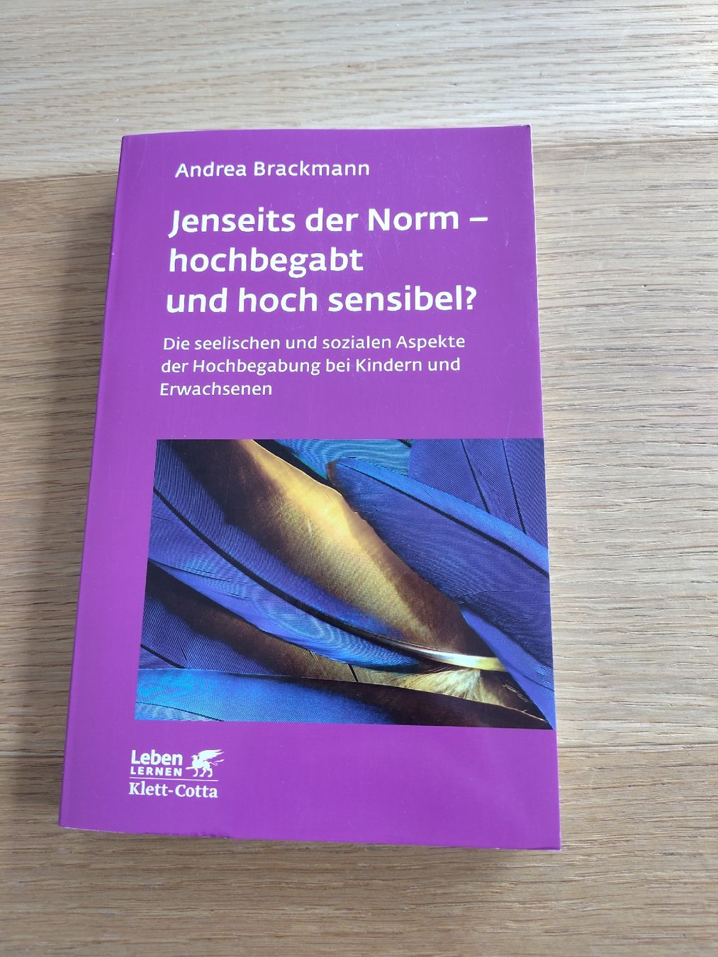 Libri: Buch Jenseits der Norm Andrea Brackmann – Usato da Brünisried venduto da Luxerli93