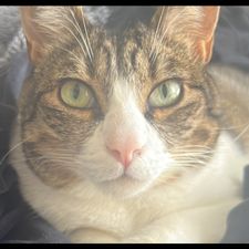 Profile image of Joana090