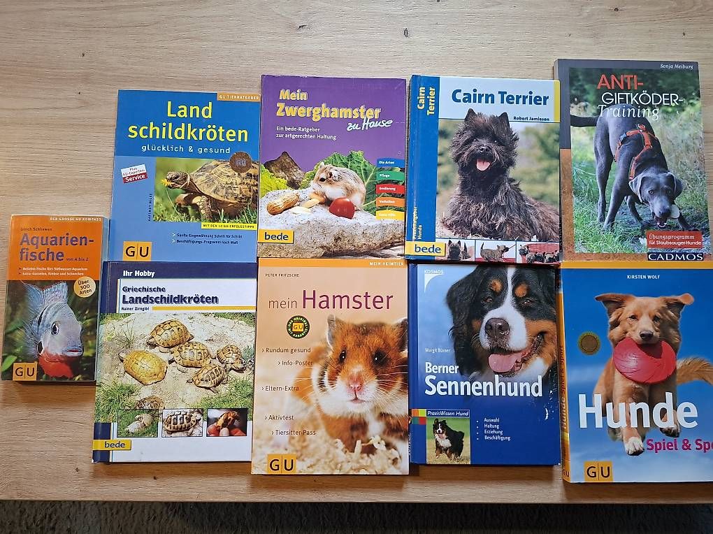 Libri: Verschiedene Ratgeber – Usato da Teufen AR venduto da nad_55nm