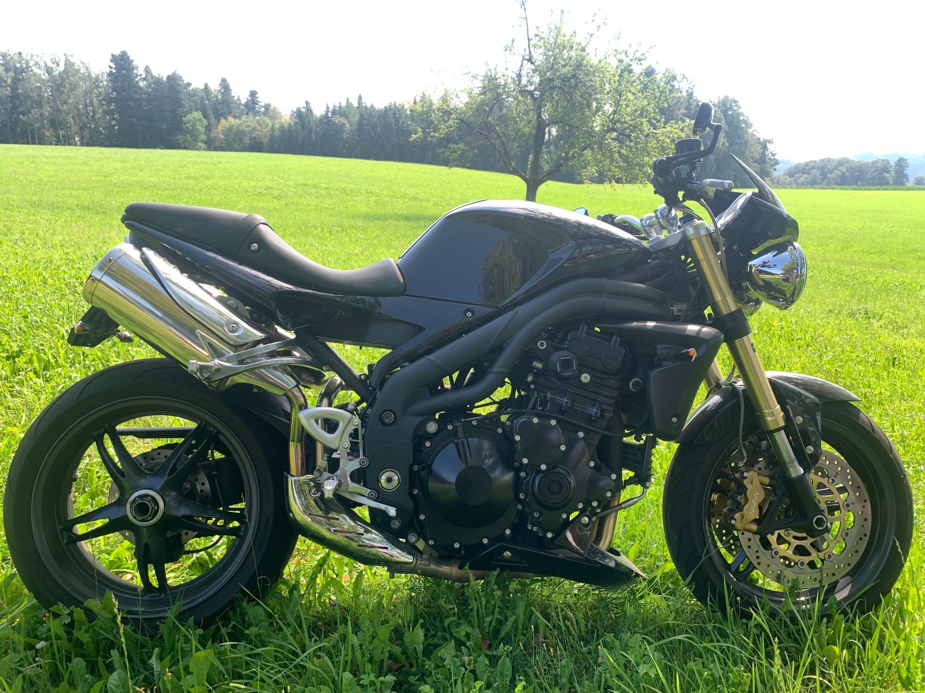 Triumph Strada: Triumph Speed Triple 1050  ab MFK – Usato da Rikon im Tösstal venduto da Ventil1978 1