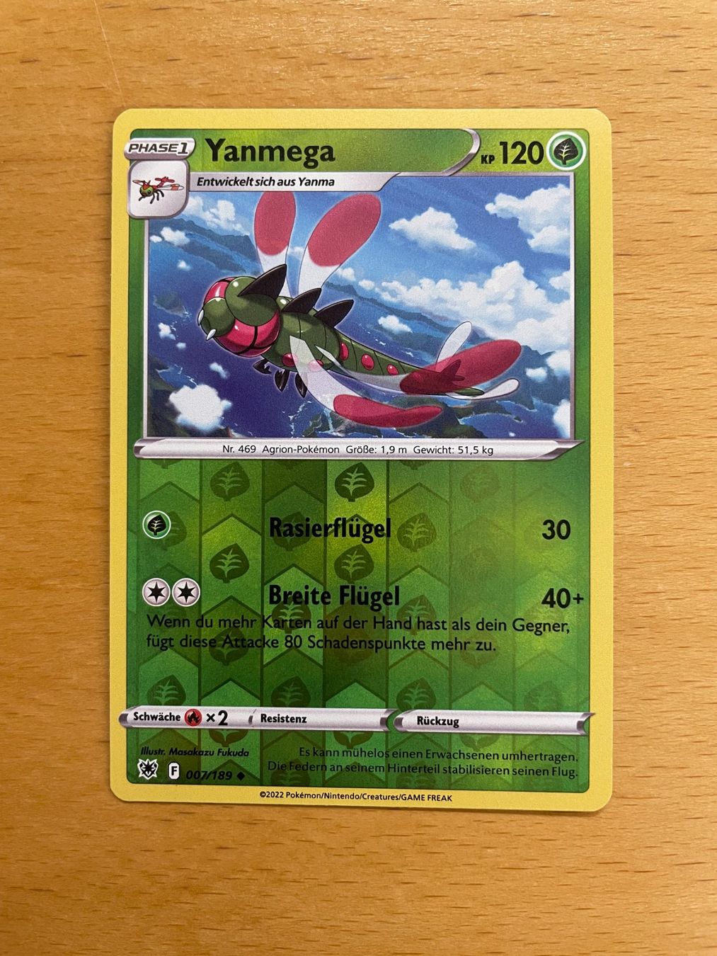Pokémon Carte collezionabili: Pokemon Yanmega Reverse (Versand gratis) – Nuovo (secondo la descrizione) da Chur venduto da Angerson