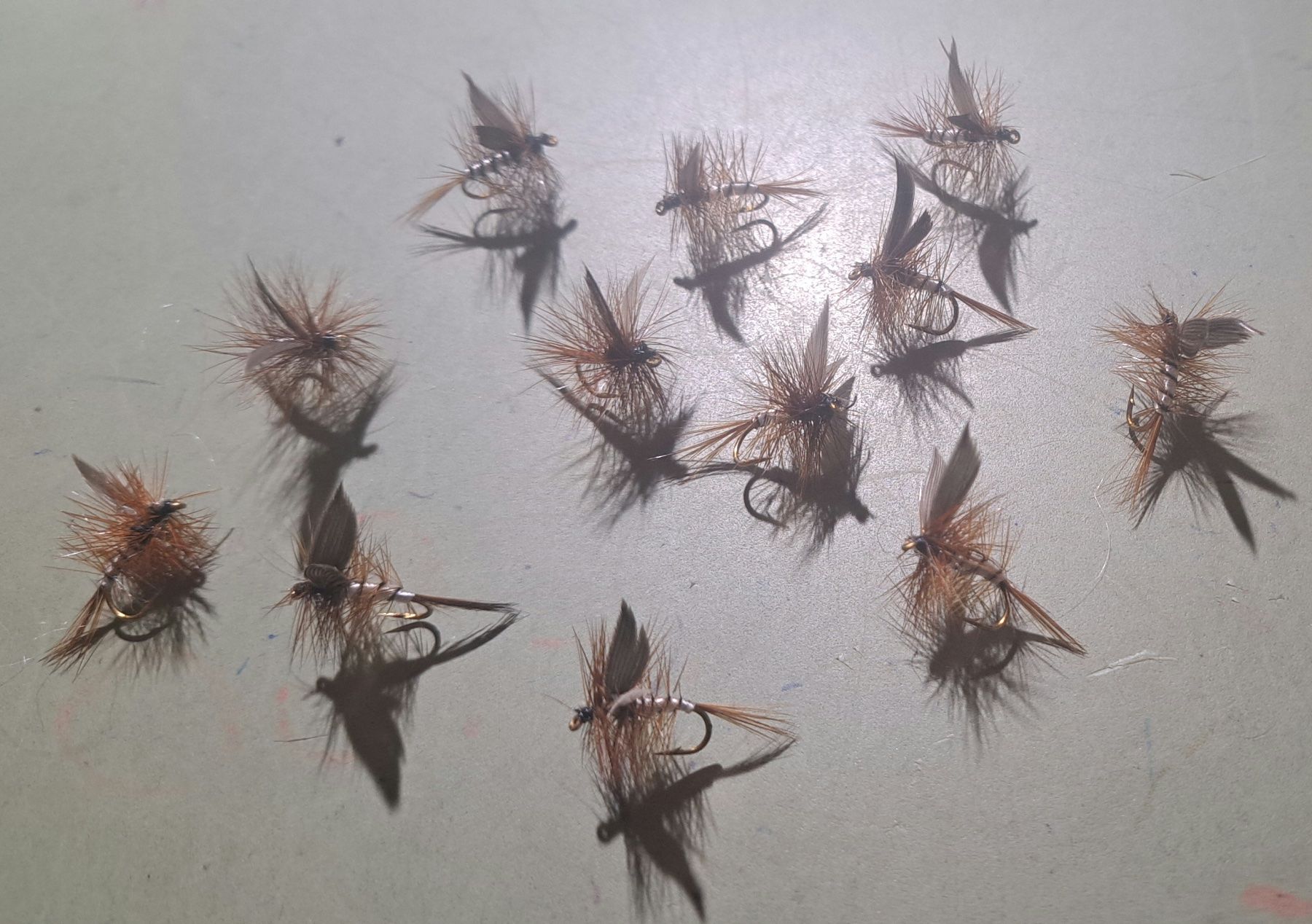 Esche: 12 Male Beaver Kill h 12 – Nuovo (secondo la descrizione) da Fribourg venduto da versus702