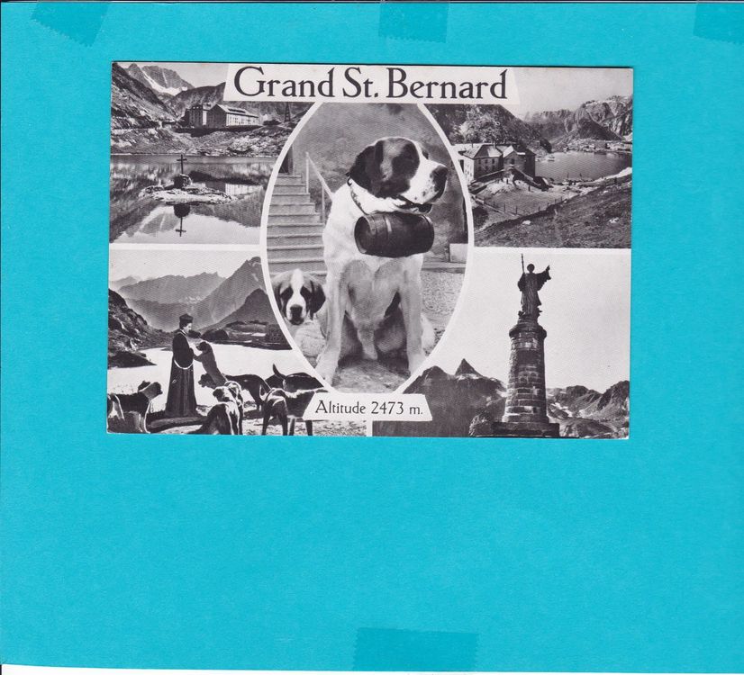 Grand St. Bernard Kaufen auf Ricardo
