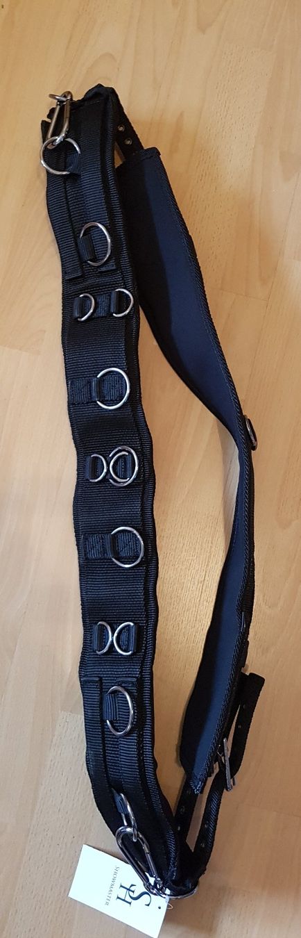 Selle & Accessori: Longiergurt neu Showmaster Grösse S – Nuovo e nell'imballaggio originale da Thundorf venduto da purita13 5