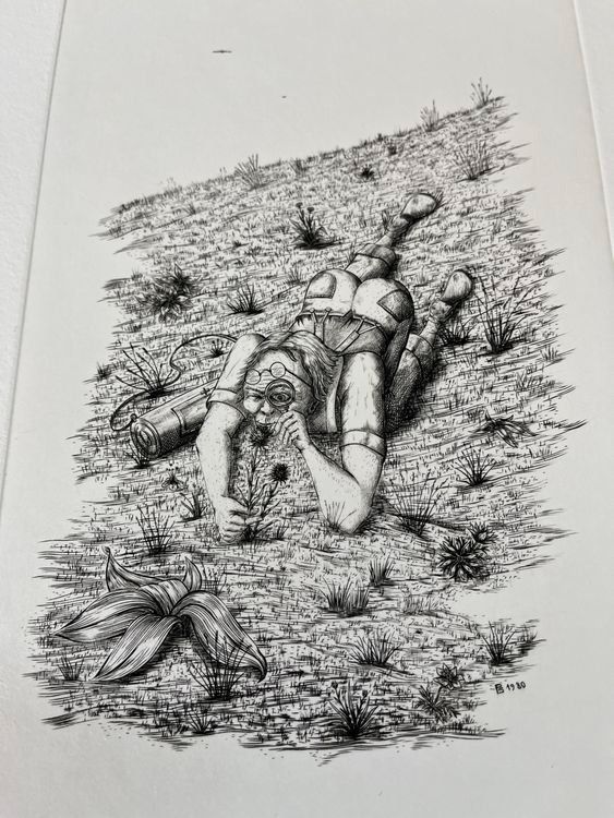Grafica & Litografie: PETER STREICH RADIERUNG SIGNIERT NUMMERIERT – Usato da Gersau venduto da grafik-kunst 1