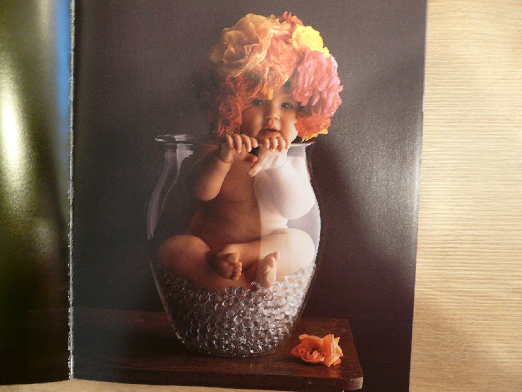 Libri: Buch Will Kommen Anne Geddes – Usato da ERLINSBACH venduto da doudouce 3