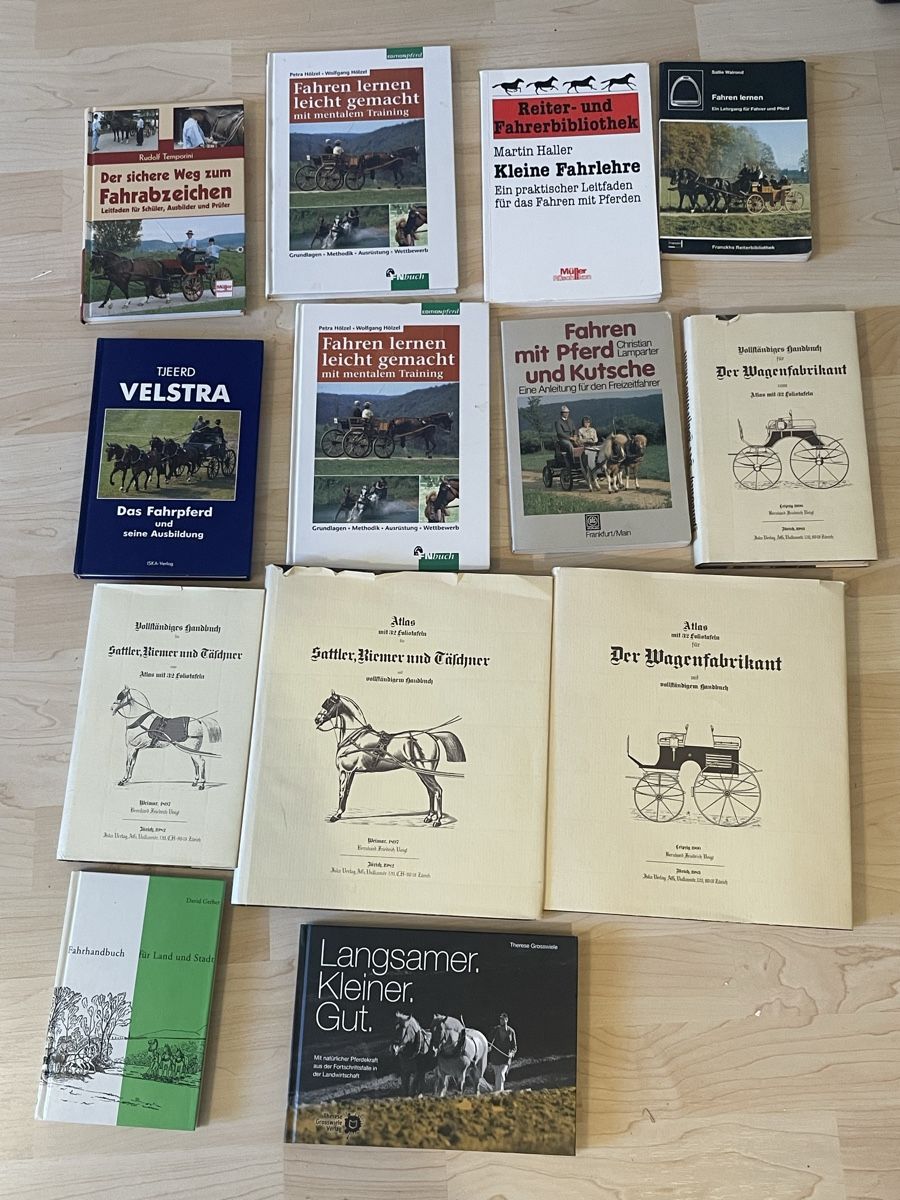 Libri: Lot Pferdebücher Fahren – Usato da Mönthal venduto da Akirebi66