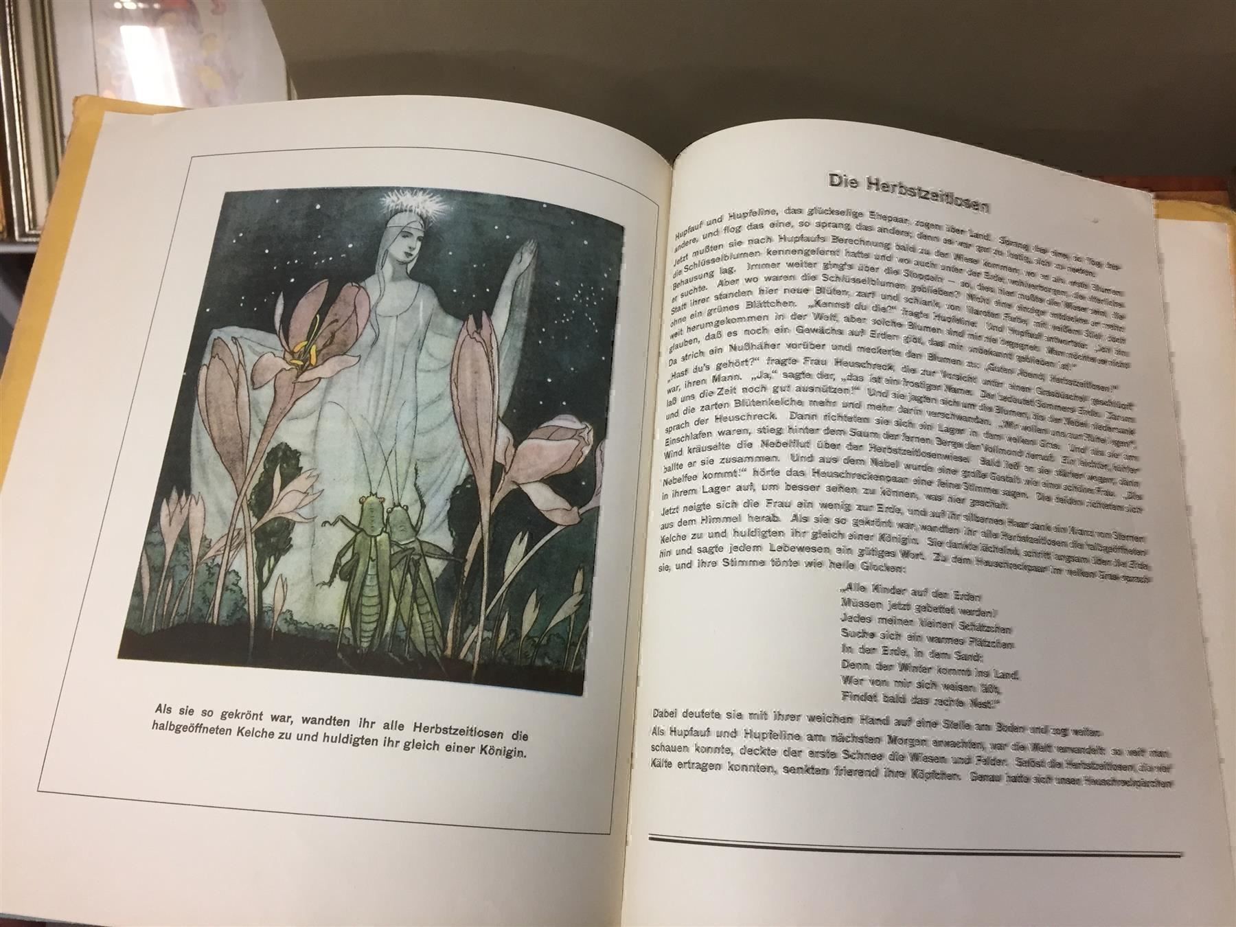 Libri: DINGLER Max, Der Heuschreck & die Blumen – Usato da Bern venduto da Jwpm66 5