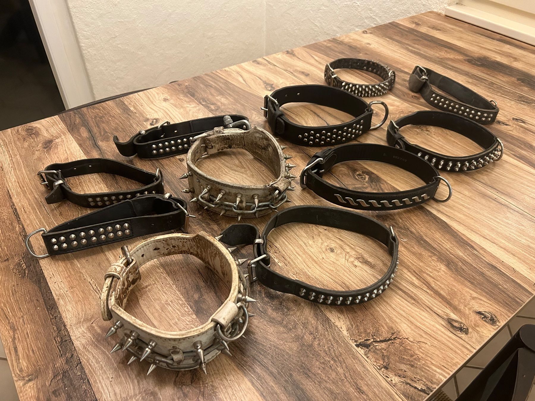Leine & Halsband: 11 leder hundehalsbänder – Gebraucht aus Reichenburg von Be-nice 1