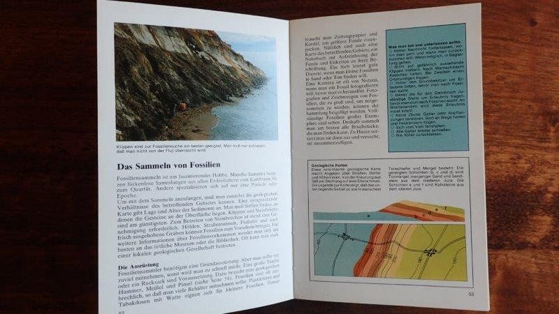 Bücher: Fossilien Bücher/Hefte – Gebraucht aus Rickenbach BL von Oktober68 8