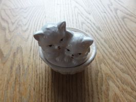 Katzen Dose aus Porzellan
