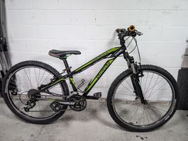 👉 Specialized MTB Jungen 33 cm / 26” / 3x9 🚚