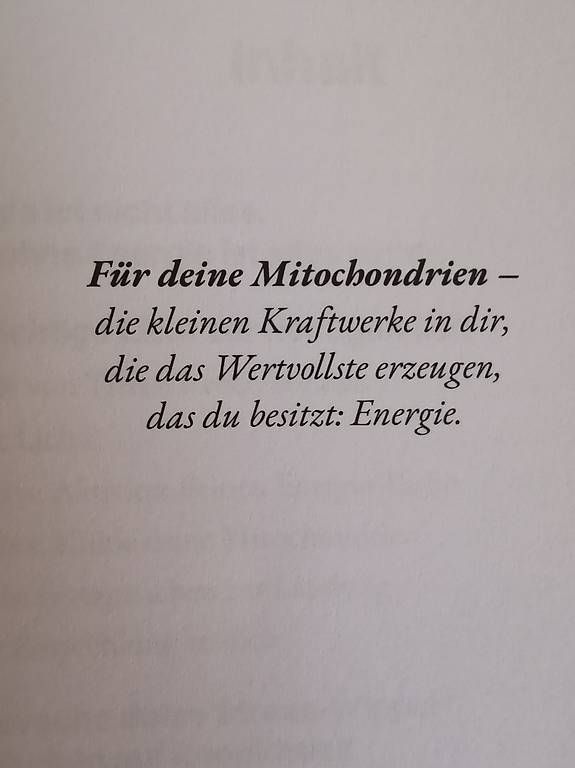Bücher: Das High Energy Prinzip – Gebraucht aus bern von jeannie2006 3