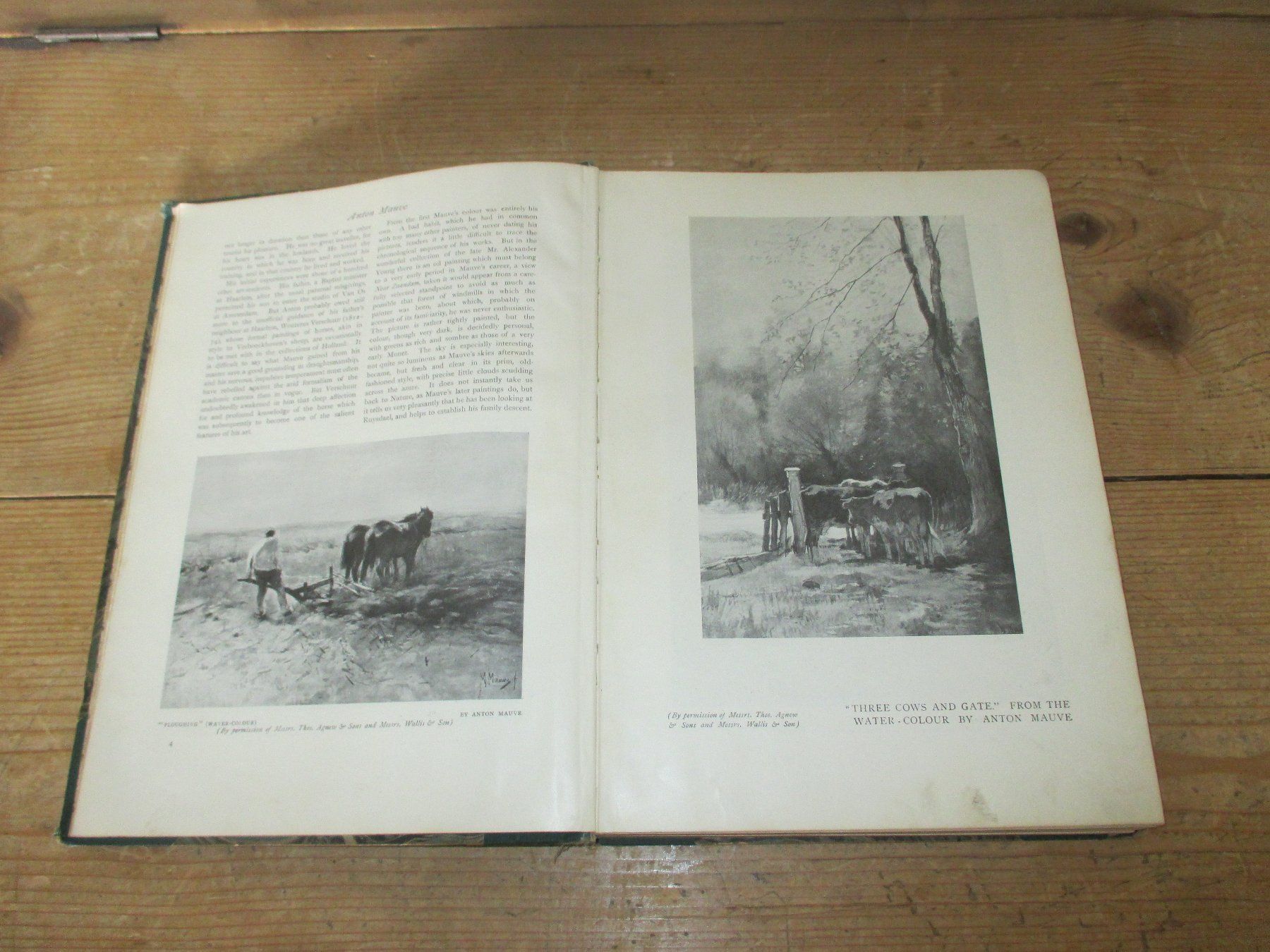 Bücher: Antikes Kunstbuch aus England, 1908 – Defekt aus Flims - Dorf von Stagediver 4